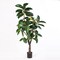 Elegant 72-Inch Faux Rubber Tree - Lifelike Indoor Potted Plant - Perfect for Home or Office Decor